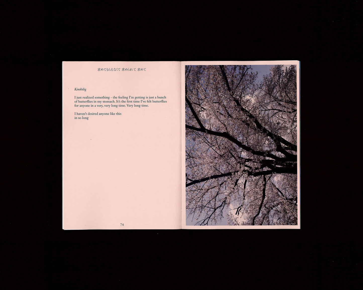 To Desire, To Be Desired 『求めてもらえなくて、求められて、求めて』
