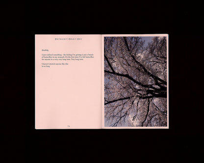 To Desire, To Be Desired 『求めてもらえなくて、求められて、求めて』